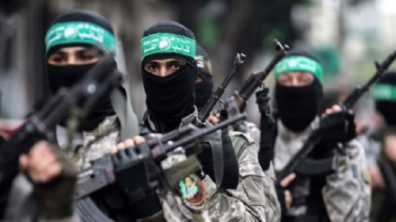 Forcat e rezistencës palestineze përsëri depërtojnë në kolonitë sioniste