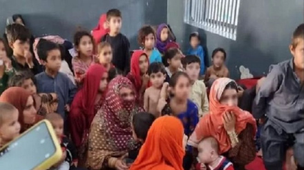  د افغان کډوالو د ستونزو د حل هڅې روانې دي