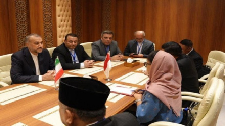 Mawaziri wa Mambo ya Nje wa Iran na Indonesia walaani mauaji ya kimbari ya Israel, Ukanda wa Gaza
