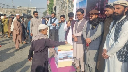 پویش مردمی در اکثر ولایات افغانستان برای کمک به زلزله‌زدگان هرات 