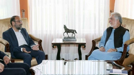 Встреча заместителя посла Ирана в Афганистане с бывшим главой Высшего совета национального примирения этой страны