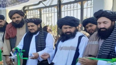 طالبان توصیه خارجی در بخش آموزش را رد کرد 