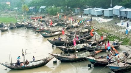 ইলিশ ধরায় ২২ দিনের নিষেধাজ্ঞা, দুশ্চিন্তায় উপকূলের জেলেরা