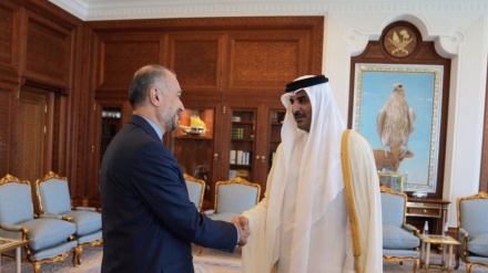  Iran, Qatar FMs discuss ways to end Israeli war on Gaza 