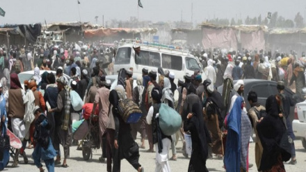 ترټاکلی نیټې پورې دې غیرقانوني پناه غواړي له پاکستانه ووځي