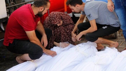 شهادت همه اعضای یک خانواده ایرانی تبار در غزه