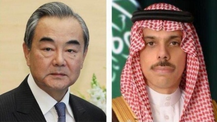 王毅同沙特外交大臣就加沙局势通电话