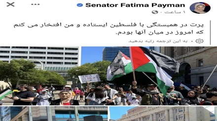 حمایت سناتور افغانستانی‌تبار استرالیا از مردم فلسطین