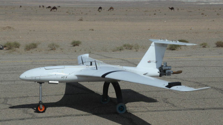 БПЛА «Каман 19» ВВС Армии Ирана вступил в строй