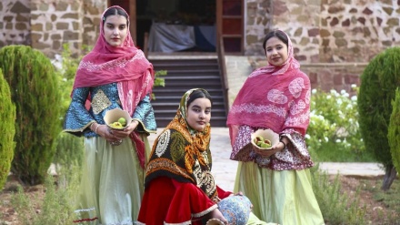 Festivali i fikut në zonën e lirë ekonomike Aras të Iranit/Foto