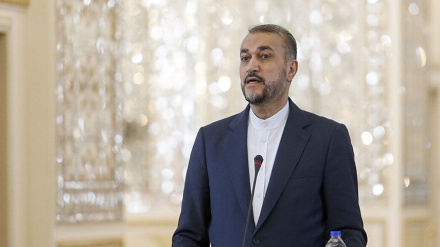 אמיר עבדולהיאן: המשך התוקפנות נגד עזה תפתח חזיתות נוספות נגד הישות הציונית