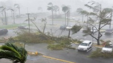 飓风“奥蒂斯”已致墨西哥39人死亡