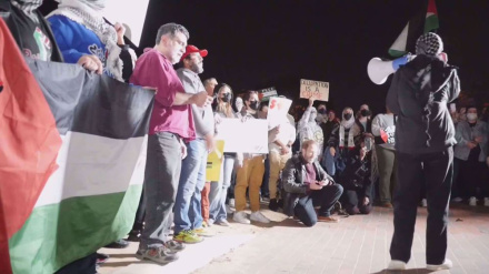 A night for Palestine