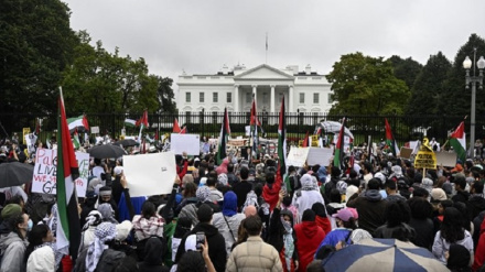 Protesta në mbështetje të Palestinës në kryeqytetin e Amerikës