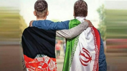 برادری تاریخی ایران و افغانستان در آیینه غزل؛ درختان سربلند