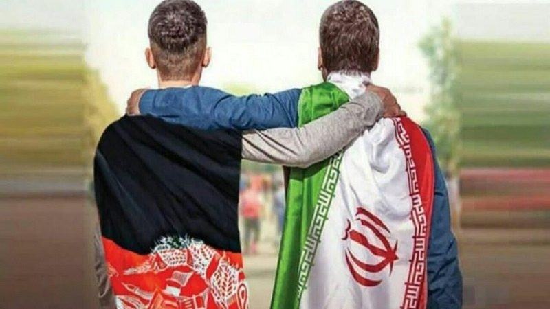 برادری تاریخی ایران و افغانستان در آیینه غزل؛ درختان سربلند