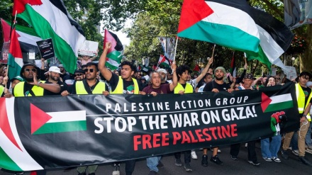 Pesan dari Pawai Penuh Semangat Pendukung Palestina di Seluruh Dunia
