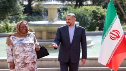 دیدار وزرای خارجه آفریقای جنوبی و ایران