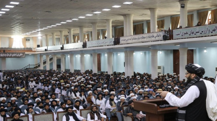د افغانستان طالبان وايي اسرائیل به ډیر زر د دنیا له نقشې حذف شي نور حال دلته لرو