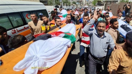 Ğəzzədə sioniston cinoyəton şəhidon miğdor əlovə bey