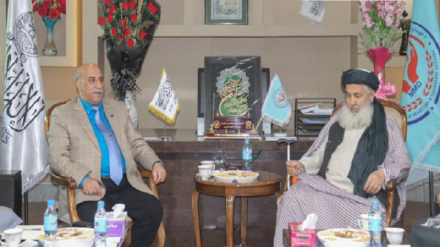 یوه ترکي کمپنۍ په افغانستان کې د یتیمانو، کونډو او معلولینو لپاره ښارګوټی جوړوي