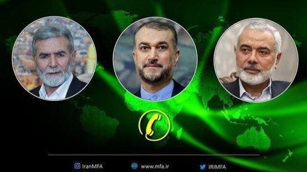 Iran's FM reaffirms support for Palestine, urges immediate end to Israeli crimes