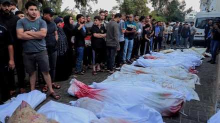 Замминистра здравоохранения ИРИ: Минздрав Ирана готов оказать любую помощь жителям Газы