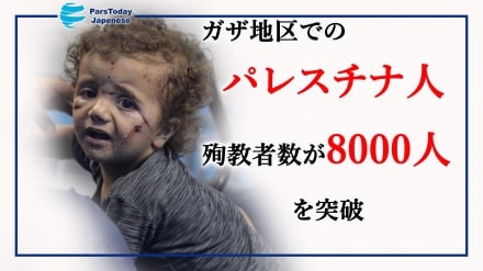 ガザ地区でのパレスチナ人殉教者数が8000人を突破