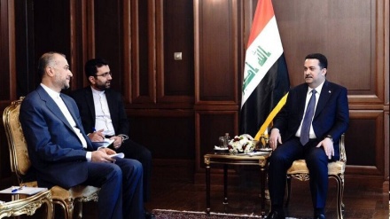 Iran's FM, Iraqi PM discuss Palestine situation