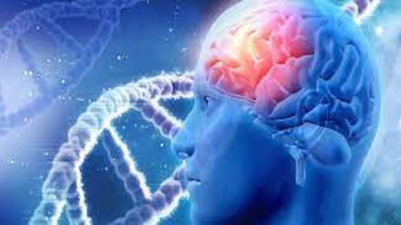 America, crescente numero di giovani con disturbi cerebrali 