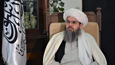 تاکید وزیر معادن طالبان بر استخراج قانونی معادن در پنجشیر