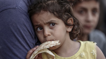 世界粮食计划署警告加沙人民的生命受到威胁