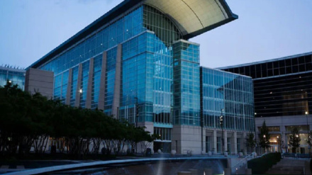 امریکا کښې یوه شپه کښې ۱۰۰۰ مرغان ووژل شول