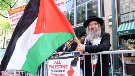 Աշխարհի մի շարք քաղաքներում հակաիսրայելական ցույցերի ժամանակ բախումներ են տեղի ունեցել 