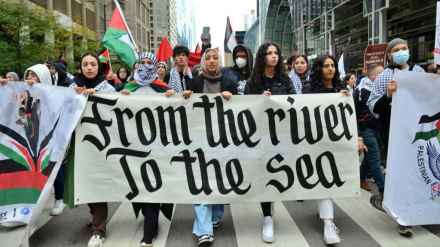 Продолжение американских демонстраций в поддержку жителей Газы 