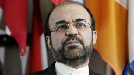 پیگیری جنایات رژیم صهیونیستی در مجامع بین‌المللی کلید خورده است