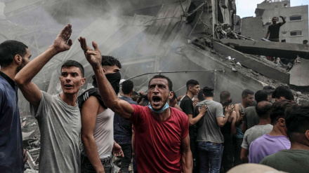 Позиция Хьюман Райтс Вотч против сионистского режима