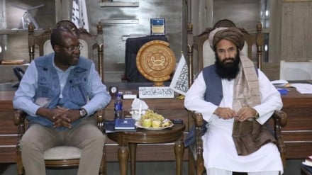 انتقاد از بی عملی سازمان ملل در قبال مهاجرین افغان 