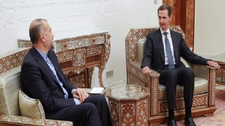 סיור שר החוץ : להפסיק את פשעי מלחמה בעזה