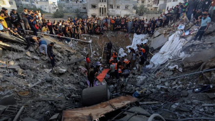 50 palestinezë ranë dëshmorë në Gaza në 24 orët e fundit