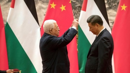 伊斯兰国家在巴勒斯坦问题上对中国的期盼