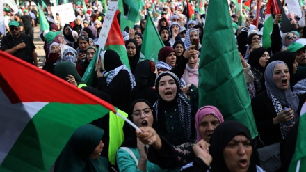 Large rally held in Beirut in solidarity with Palestinians in Gaza