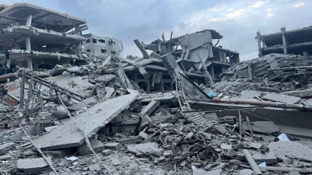 Палестиналық шәһидтер мен жаралылар саны артты  