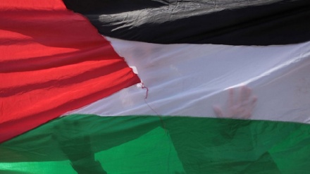 Bandiera palestinese esposta all’Università di Napoli