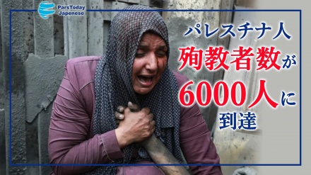 ガザ地区でのパレスチナ人殉教者数が６０００人に増加