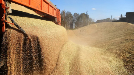 Իրանն առաջարկում է իր տարածքն օգտագործել ՌԴ–ից հացահատիկ արտահանելու համար