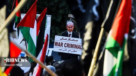 Protesta qytetare në dënimin e krimeve të regjimit sionist në Gaza/Foto