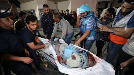 Dua Jurnalis Palestina Gugur Syahid dalam Serangan Udara Israel