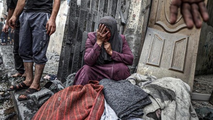 Согласие представителей стран на заседании СБ ООН об установлении режима прекращения огня в секторе Газа