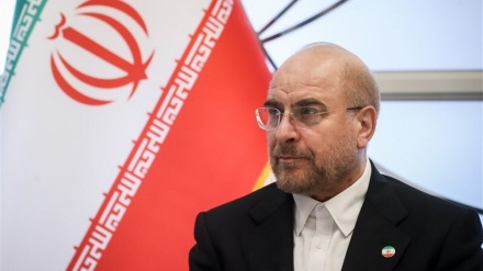 Телефонный разговор Галибафа с главами парламентов 7 исламских стран о ситуации в секторе Газа